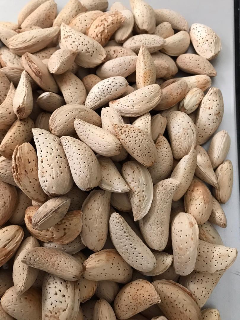 Almonds In Shells 3
