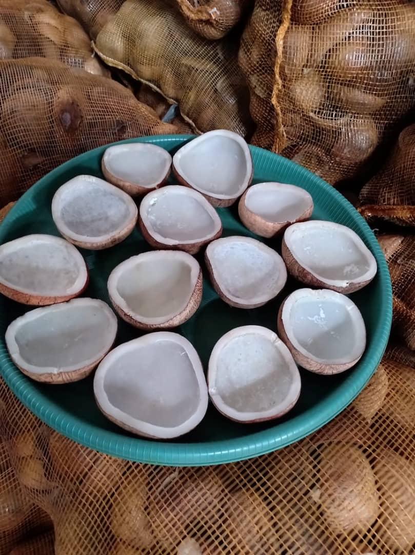 Dried Coconut Halves