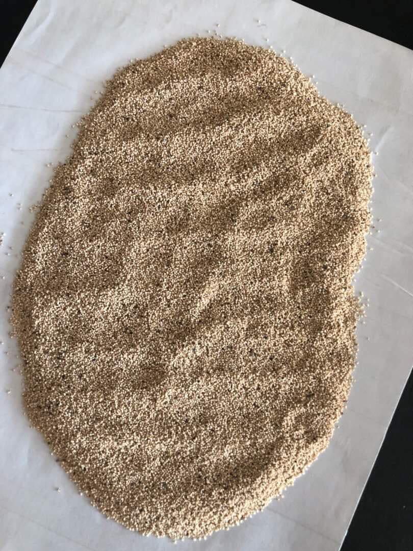 Quinoa Grains