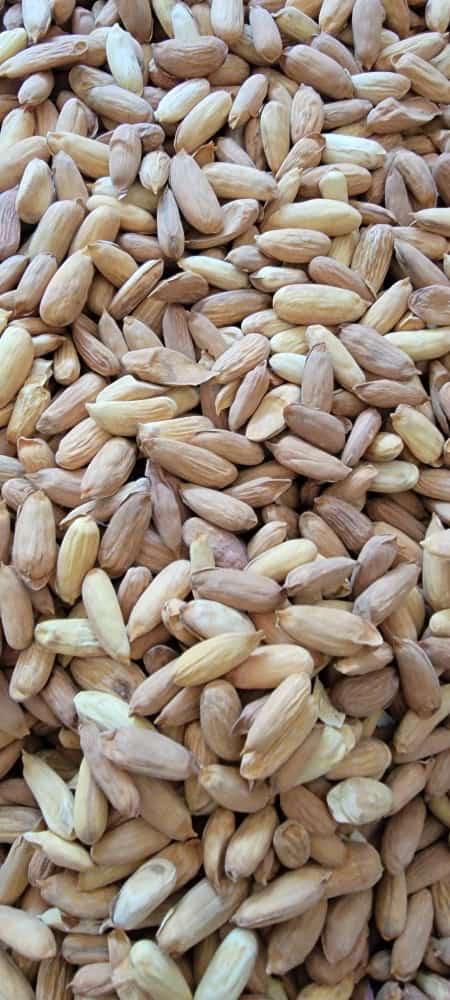 Shelled Almonds