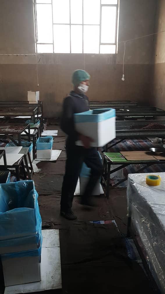 Worker Carrying Box
